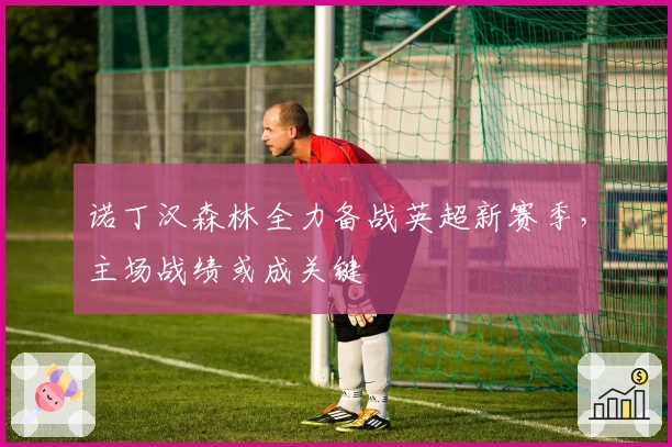 诺丁汉森林全力备战英超新赛季，主场战绩或成关键