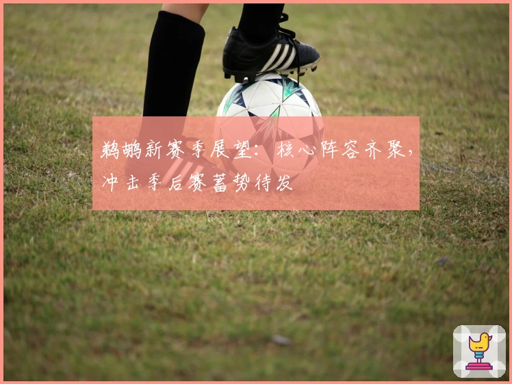 鹈鹕新赛季展望：核心阵容齐聚，冲击季后赛蓄势待发