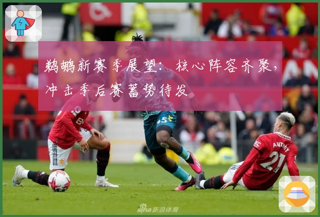 鹈鹕新赛季展望：核心阵容齐聚，冲击季后赛蓄势待发