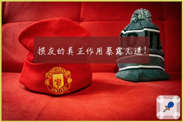 损友的真正作用暴露无遗！